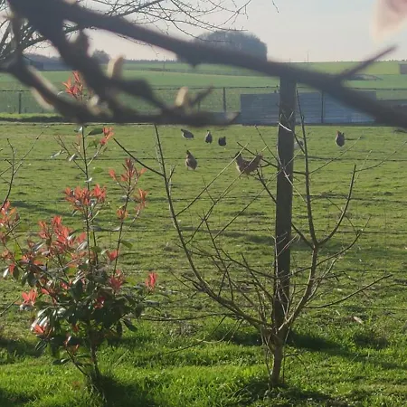 Des 3 Marcassins Holiday home *