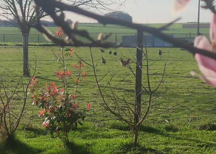 Des 3 Marcassins Holiday home *