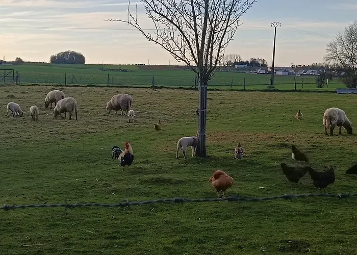 Des 3 Marcassins Holiday home Preaux